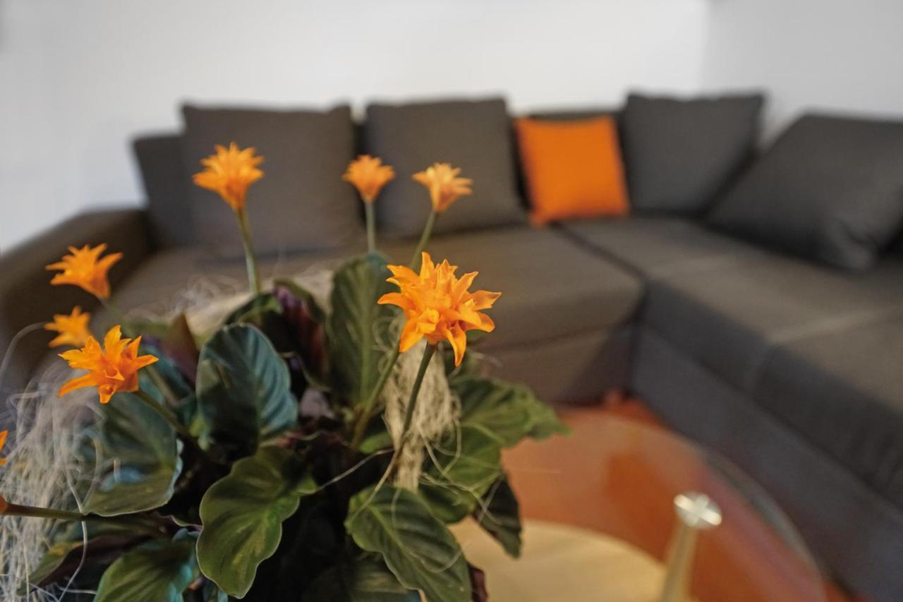 Apartment Domizil Aschbergblick